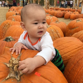 Look, Ma! I like big pumpkins!