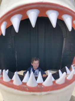 He finally went into the shark mouth!