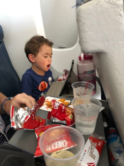 A picnic on the plane